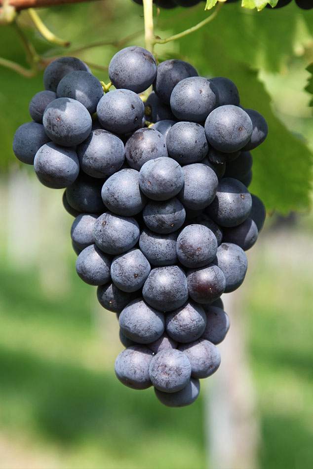 About 3 About - FlavorFix